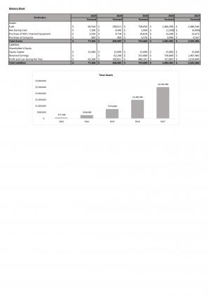 Financial Plan For Creating Digital Marketing Agency In Excel BP XL Image Multipurpose