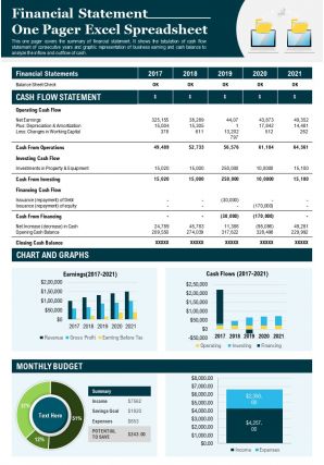 Financial statement one pager excel spreadsheet presentation report ppt pdf document