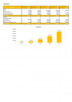 Financial Statements And Valuation For Planning A Coaching Institute In Excel BP XL Template Professionally