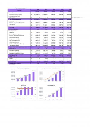 Financial Statements And Valuation For Planning A Homecare Start Up Business In Excel BP XL Captivating Multipurpose
