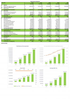 Financial Statements And Valuation For Planning Farm And Agriculture Business Plan In Excel BP XL Image Adaptable