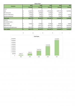 Financial Statements Modeling And Valuation For Cosmetic Store Business Plan In Excel BP XL Pre-designed Informative