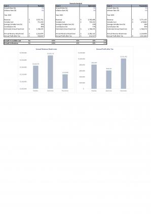 Financial Statements Modeling And Valuation For Liquor Store Business Plan In Excel BP XL Designed Compatible