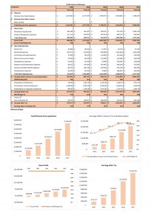 Financial Statements Modeling And Valuation For Natural Cosmetics Business Plan In Excel BP XL Designed Analytical