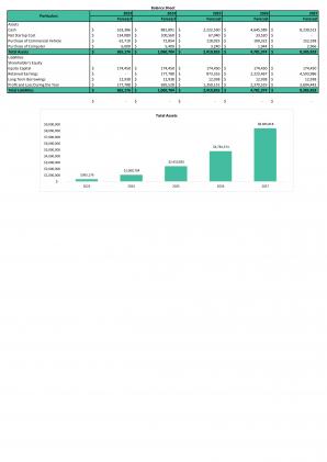 Financial Statements Modeling And Valuation For On Demand Laundry Business Plan In Excel BP XL Customizable Impactful