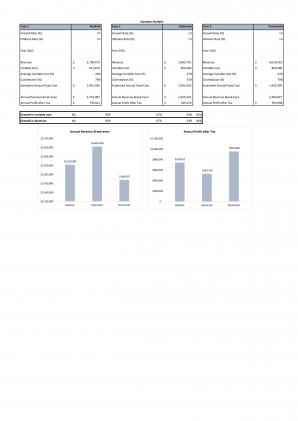 Financial Statements Modeling And Valuation For Sustainable Cosmetics Business Plan In Excel BP XL Colorful Multipurpose