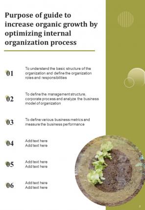 Guide To Increase Organic Growth By Optimizing Internal Organization Process Report Example Document Template Editable