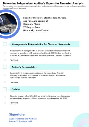 Independent auditors report survey results template 46 report infographic ppt pdf document