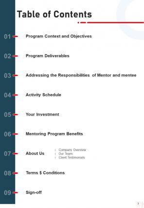 Mentoring program proposal sample document report doc pdf ppt