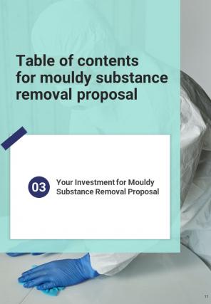 Mouldy Substance Removal Proposal Report Sample Example Document
