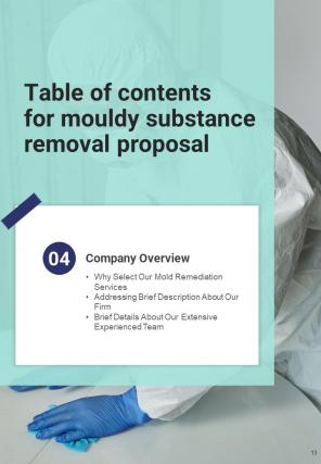 Mouldy Substance Removal Proposal Report Sample Example Document
