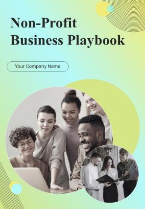 Non Profit Business Playbook Report Sample Example Document