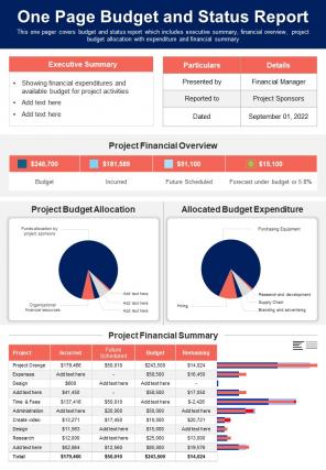 One Page Budget And Status Report Presentation Infographic PPT PDF Document