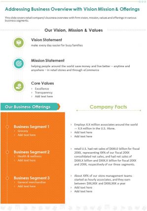 One page determine company overview with vision mission and offerings infographic ppt pdf document
