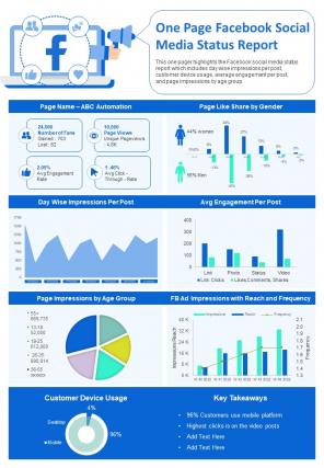 One Page Facebook Social Media Status Report Presentation Infographic PPT PDF Document