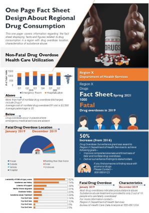 One page fact sheet design about regional drug consumption report ppt pdf document