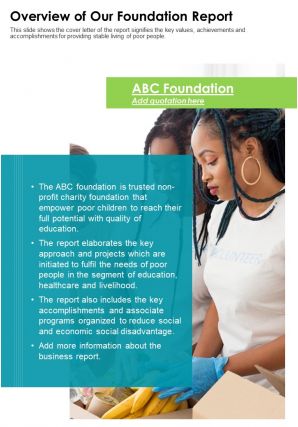 One page overview of our foundation report presentation report infographic ppt pdf document