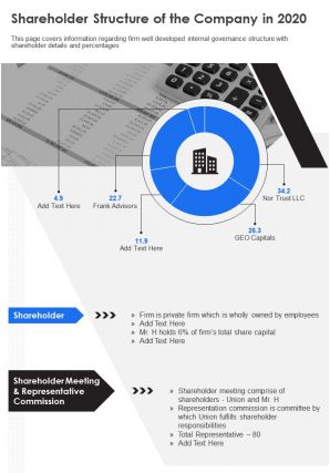 One page shareholder structure of the company in 2020 template 248 presentation report infographic ppt pdf document
