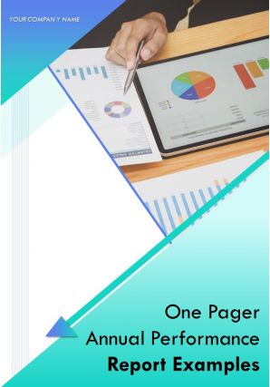 One pager annual performance report examples pdf doc ppt document report template