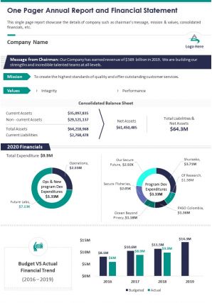 One pager annual report and financial statement report infographic ppt pdf document