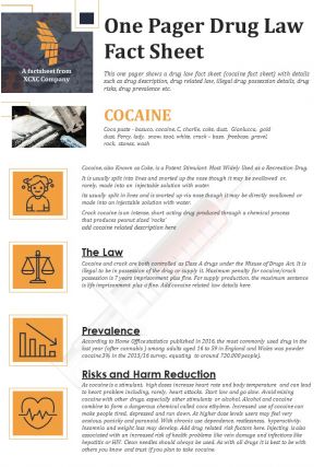 One pager drug law fact sheet presentation report infographic ppt pdf document