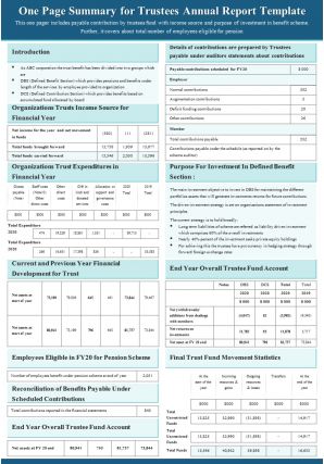 One pager for trustees annual report template presentation report infographic ppt pdf document