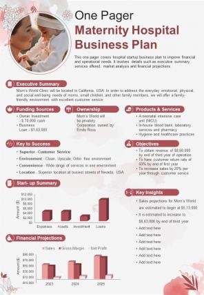 One Pager Maternity Hospital Business Plan Presentation Report Infographic PPT PDF Document
