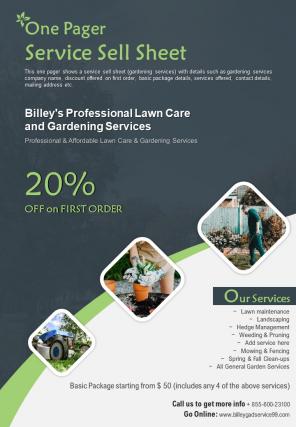 One pager service sell sheet presentation report infographic ppt pdf document