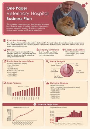 One Pager Veterinary Hospital Business Plan Presentation Report Infographic PPT PDF Document