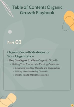 Organic Growth Playbook Report Sample Example Document