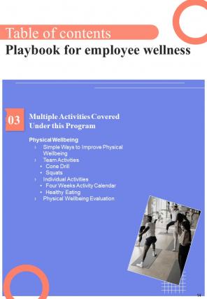 Playbook For Employee Wellness Report Sample Example Document