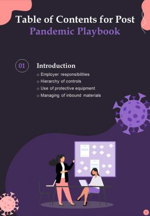 Post Pandemic Business Playbook Report Sample Example Document