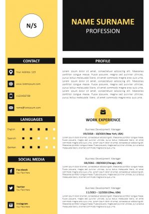 Professional cv format with awards and references