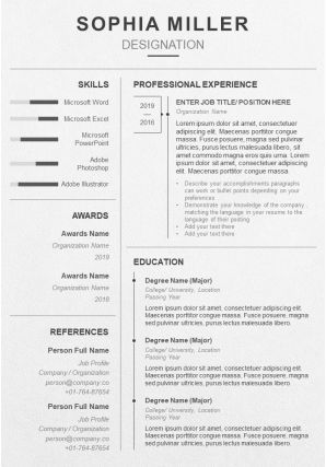 Professional resume template with career summary