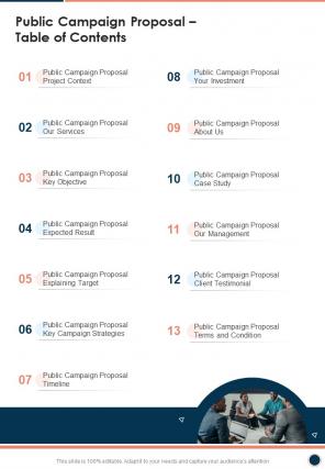 Public Campaign Proposal Table Of Contents One Pager Sample Example Document