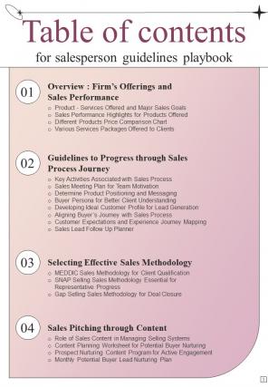 Salesperson Guidelines Playbook Report Sample Example Document