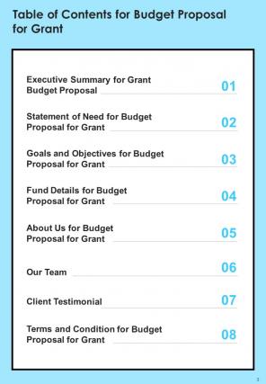 Sample Budget Proposal For Grant Example Document Report Doc Pdf Ppt