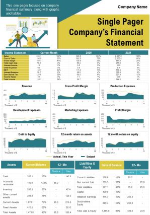 Single pager companys financial statement presentation report infographic ppt pdf document