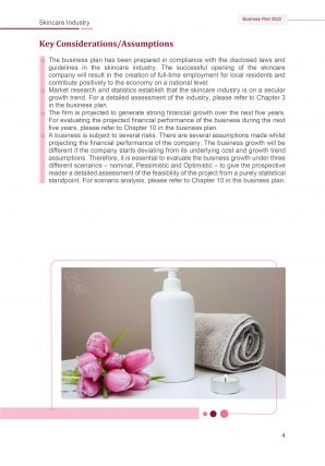 Skincare Industry Business Plan Pdf Word Document Image Captivating