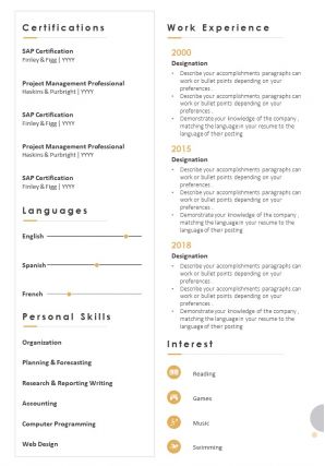 Professional resume format with professional skills