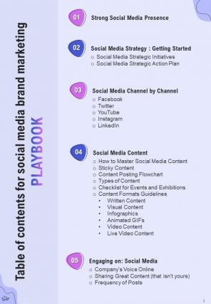 Social Media Brand Marketing Playbook Report Sample Example Document Professionally Best