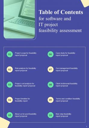 Software And IT Project Feasibility Assessment Report Sample Example Document Aesthatic Unique