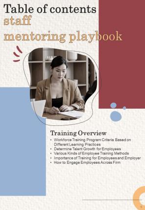 Staff Mentoring Playbook Report Sample Example Document Attractive Compatible
