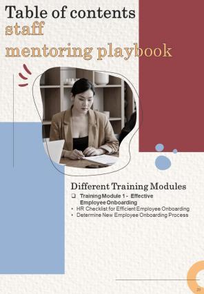 Staff Mentoring Playbook Report Sample Example Document Unique Researched