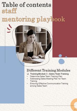 Staff Mentoring Playbook Report Sample Example Document Designed Researched