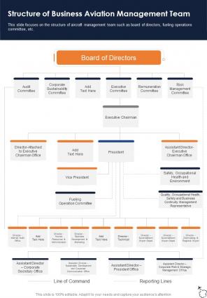 Structure Of Business Aviation Management Team Business Aviation Service One Pager Sample Example Document