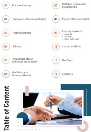 Table Of Content Commercial Proposal One Pager Sample Example Document