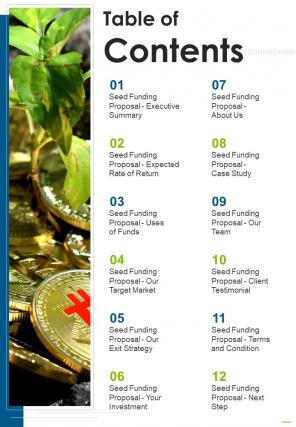 Table Of Contents Seed Funding Proposal One Pager Sample Example Document