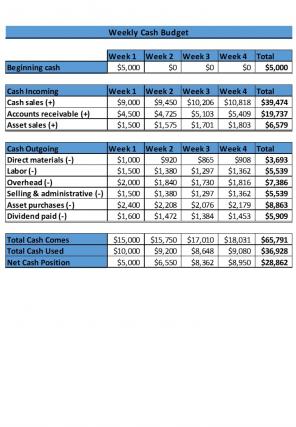 Weekly Cash Budget Excel Spreadsheet Worksheet Xlcsv XL SS Graphical Images