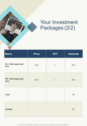 Your Investment Packages One Pager Sample Example Document